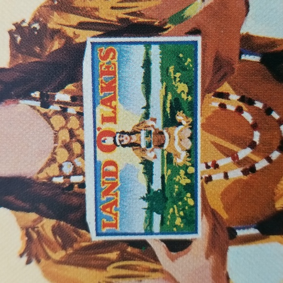 Land O' Lakes Butter Metal Tray - Picture 11 of 16